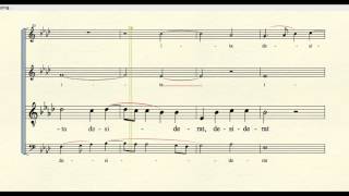 quotSicut Cervusquot by Palestrina tenor part [upl. by Fortunato]