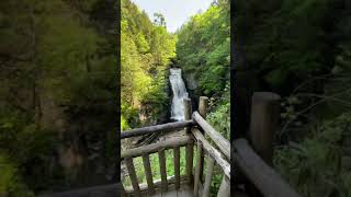 💦 Experience Bushkill Falls  The Niagara of Pennsylvania [upl. by Esekram]