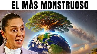 Se Descubre el Árbol Más Grande del Mundo en México ¡Es Monstruoso [upl. by Yboc]