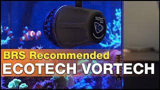 Worth it The EcoTech VorTech MP10  MP40 and MP60 review  It’s BRS recommended [upl. by Gudrin924]