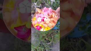 Flower status song flower Hindi song video fullscreen 4k status whatsapp statusshortsstatus [upl. by Ijan]