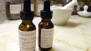 How To Make A Tincture  Herbalism Basics 3 [upl. by Anaihr]