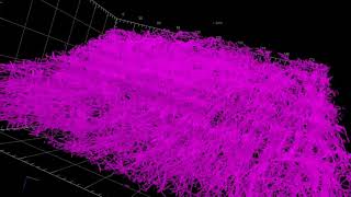 Axon myelination and local gratio of layer V pyramidal neurons [upl. by Carmon]