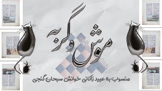 موش و گربه  عبید زاکانی [upl. by Alram]