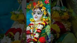 ek matra swami sakha hamare he nath narayan vasudeva❤🌼❤একমাত্র স্বামী সখা হামারে🌼❤🙏🏻Hare Krishna🌼❤🙏🏻 [upl. by Irak]