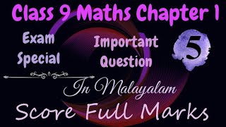 Class 9 Maths Important Question Chapter 1 Number System In MalayalamCBSE Classes By Grace Jose [upl. by Uella]