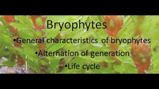 General Characteristics of Bryophytes  ALL ABOUT BIOLOGY  BY JYOTI VERMA [upl. by Christabelle882]