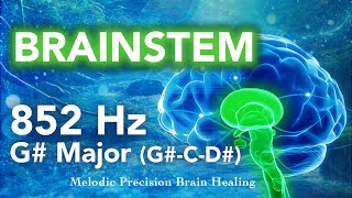 Brainstem Healing with 852 Hz Frequency amp G Major  Stream Soundscape [upl. by Aivata]