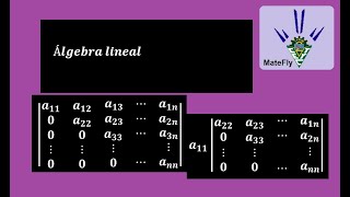 Determinante 4x4 Simplifica con las propiedades DETERMINAN DE UNA MATRIZ TRIANGULAR nxn [upl. by Nosac685]