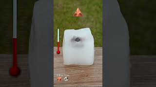 What Object Melts The Ice Fast  Red Hot Metal Objects Vs Ice experiment rhcb ice satisfying [upl. by Wyon]