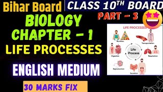 Life Processes Chapter 1 CLASS 10 Science  NCERT Covered Life processes class 10 [upl. by Gabriel]