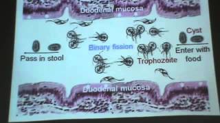 Dr Azza Protozoa 2 Balantidium coli Giardia lamblia YouTube [upl. by Jerroll679]