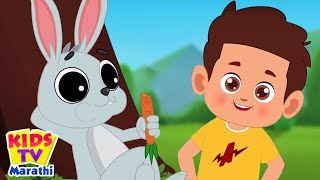 sasa re sasa ससा रे ससा Marathi Nursery Rhymes and Baby Poem Balgeet by Kids TV [upl. by Eeluj]