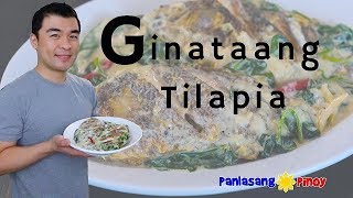 Ginataang Tilapia  Panlasang Pinoy [upl. by Ataner]