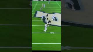 Slippery snake…🐍 robplays ps5 football cfb25 [upl. by Hepzi644]