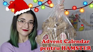 Unboxing Advent Calendar pentru HAMSTERI 🎁 2021 [upl. by Atteoj463]