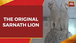 WATCH The Original Sarnath Lion That Inspired The Ashoka Emblem Cast On New Parliament Building [upl. by Rutherford]