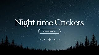 Nighttime Crickets  Relaxing Night Sounds for Deep Sleep and Meditation  1 hour meditation [upl. by Nisen]