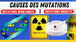 Comment se produisent les mutations Tout ce que vous devez savoir [upl. by Flodnar]