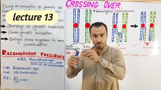 Crossing over amp recombinant frequency full detail lecture in hindi and urdu by Aizaz biology walla [upl. by Ardel795]