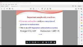 amphibolic nature of tca [upl. by Yorztif]