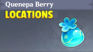 Where to find Quenepa Berries  Genshin Impact [upl. by Aztilem]