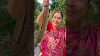 পুরনো Shol Macher Telani Recipe Shorts fishcutting fish chaatrecipe [upl. by Yclehc]