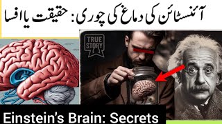 Einsteins Brain Secrets and Controversies 😱😱 [upl. by Hurwitz]