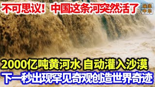 不可思议！中国这条河突然活了，2000亿吨黄河水自动灌入沙漠，下一秒出现罕见奇观创造世界奇迹！沙漠 黄河 沙漠绿化 [upl. by Gebelein35]