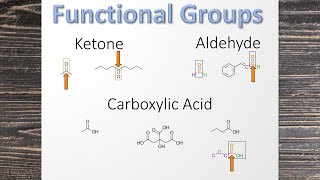 Organic Chemistry Functional Groups [upl. by Ahsinehs]