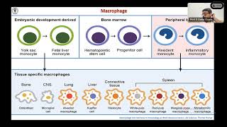 How to Approach Granulomatous lesions  All you need to know about granulomas  Lecture with Cases [upl. by Aniala]