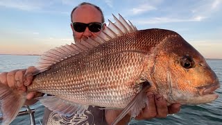 Awesome Snapper fishing in Westernport Primetime November Reds [upl. by Sikram]