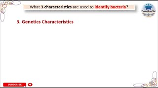 Genetic Characteristics  identify bacteria bacteriology microbiology genetics [upl. by Adian]