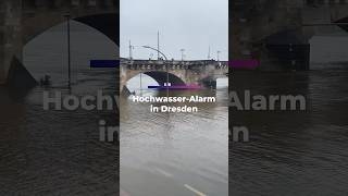 HOCHWASSERALARM in Dresden [upl. by Mccahill]