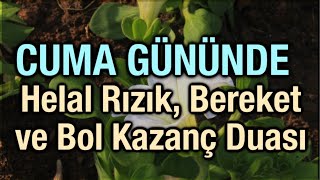 Cuma Gününde Helal Rızık Bereket ve Bol Kazanç Duası Amin diyelim İnşallah [upl. by Chesney]