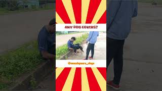 Any dog lovers 🐶❤️  ennadapanravlogs funny cousins brothers comedy vlog doglover [upl. by Alcot]