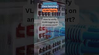 63 Shorts Verify VLAN Tagging on Access [upl. by Rosalie]