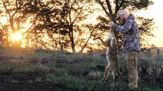 Coyote Hunt Before Work BINGO [upl. by Klug]