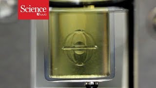 Watch 3D printed objects appear in the middle of a gel [upl. by Yuille134]