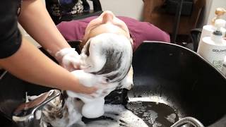 ASMR Hair WashingShampooing Scalp Massage Conditioning amp Hair Brushing relaxing [upl. by Callista240]