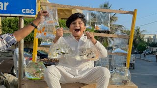 Ali ko itni sari new Fish 🐠 Dilwa Di 😱  First time sharq Fish 🐟 Dekhi 😳 [upl. by Eirelav]