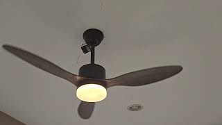 Review of Ahawill Ceiling Fan with Light [upl. by Uta943]