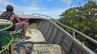 Stanage bay ultimate pro crabber [upl. by Dazhahs260]