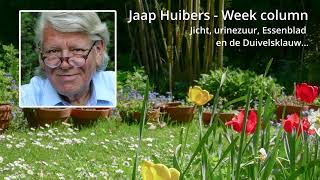 Jaap Huibers  Week column  Jicht urinezuur Essenblad en de Duivelsklauw… [upl. by Emalia]