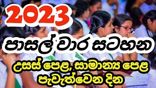 2023 School Terms  School Terms 2023  2023 පාසල් වාර සටහන [upl. by Piers]