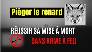 Mise à mort sans arme à feu 2eme partiele renard renard [upl. by Onibas]