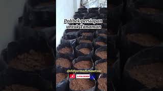 Polibek persiapan untuk tanamanviralvideo petani [upl. by Medwin]