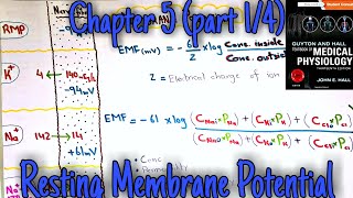 Resting membrane potential  chapter 5 part 14  Guyton and hall text book of medical physiology [upl. by Elliott425]