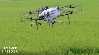 How Japan Is Reshaping Its Agriculture By Harnessing SmartFarming Technology [upl. by Odnama183]