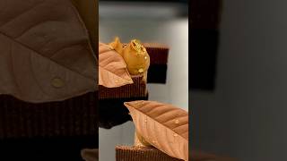 Saffron and Amatika vegan chocolate​ chocolate pastrychef pastry valrhona cake [upl. by Nyladnarb408]